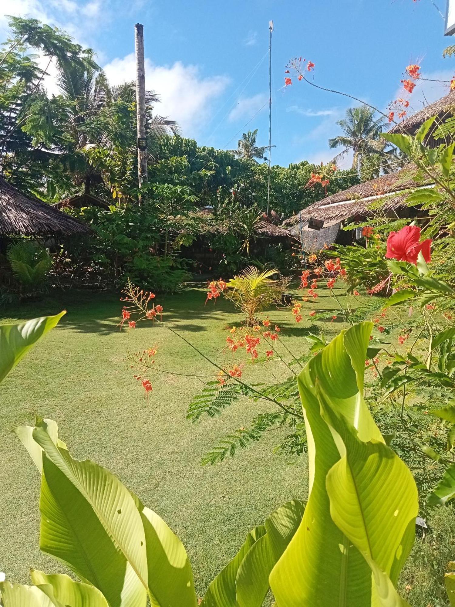 Weeroona Huts Homestay Pacifico San Isidro  Exterior photo